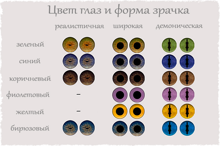 вариации глаз и зрачков для долгопята