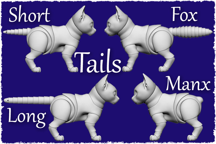 BJD kittens have some options of the tail like short, long, fox and Manx tails.