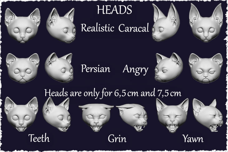 We've created new heads for BJD cats.