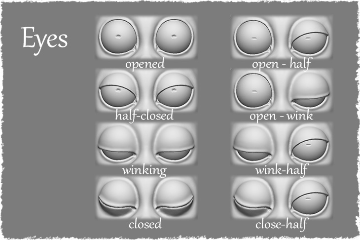 There are shapes of eyes of Tarsius