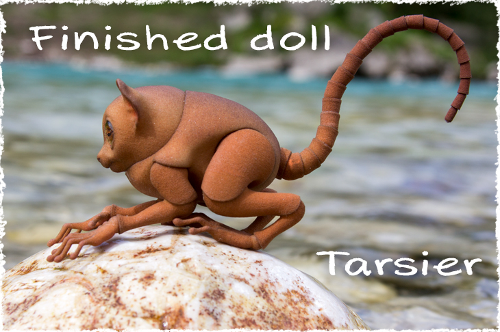 The finished doll. 3D printed bjd Tarsius.