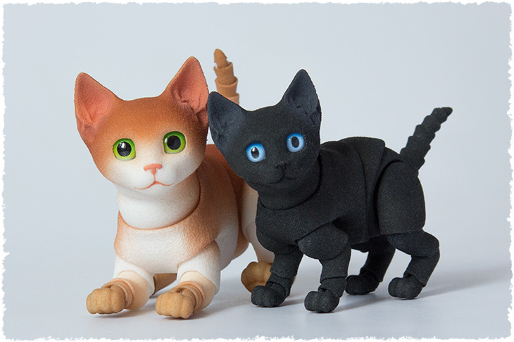 There are black and white-ginger BJD kittens