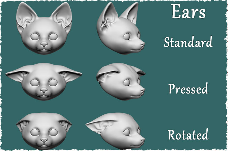 A few types of ears for BJD fox cub
