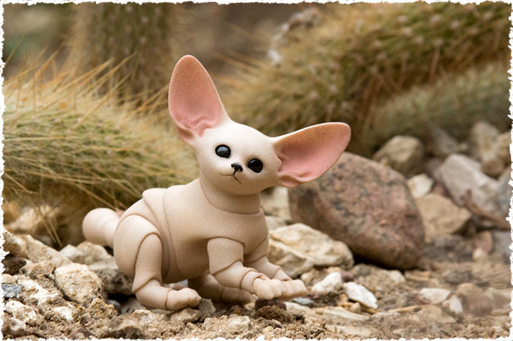 A little bjd fennec fox cub