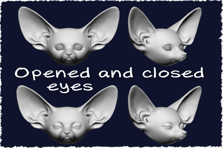 Opened and sleeping heads for fennec fox baby