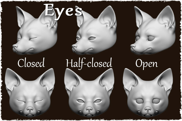 There are 3 options for the BJD adult fox