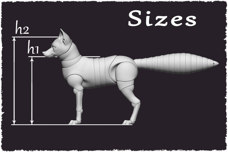 Sizes of the BJD fox