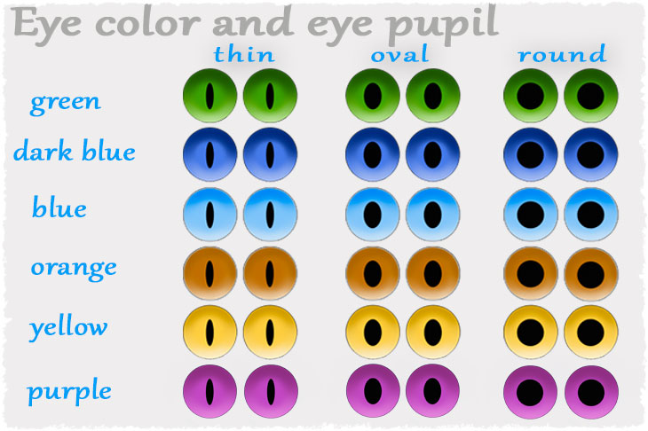 BJD foxes' eyes and the shape of the pupils