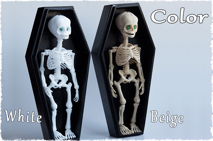 There are white and beige colors for BJD skeleton