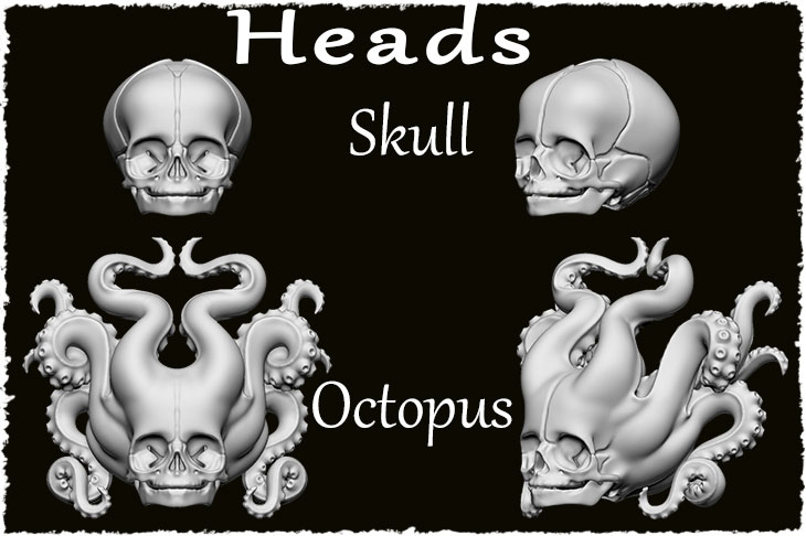 There are 2 types of the head. They are Skull and Octopus.