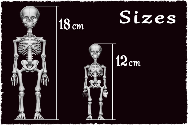 2 sizes are available for BJD Skeleton. 12 cm and 18 cm